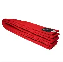 Belt-3.webp