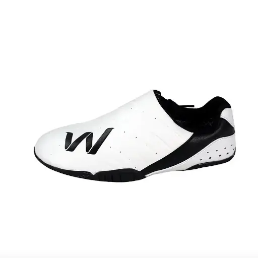 TaeKwonDo Shoe